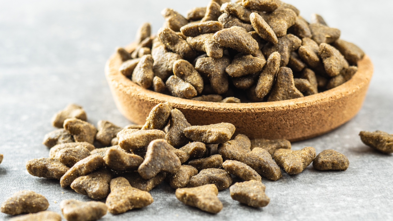 Alimentação Torres Pet