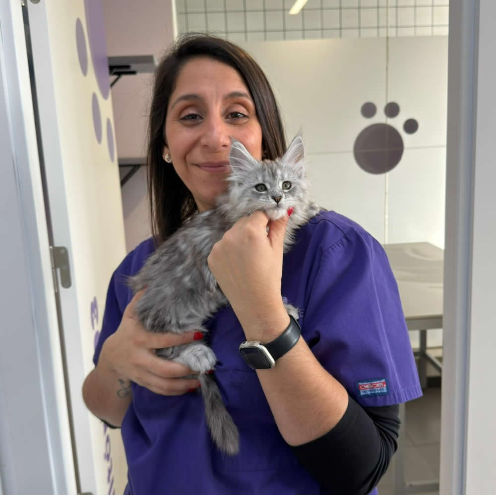Ana Claudia Neves Veterinário Torres Novas Ana Claudia Neves Veterinário Torres Novas